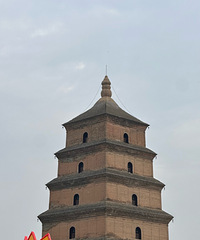 ��2024�μǡ��������ǳ���Σ�������������ܾ���