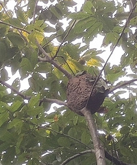 �������ʲô�ͺţ�������