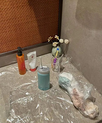 ���ס�Ƶ꣬�Ѿ����񡱵�ʲô�̶��ˣ������ҵķ��������ˣ�