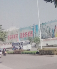 ��ʮ����ǰ�Ľ�������Ƭ