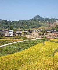 �ɾ����ɽ����ʱ�ڴ�