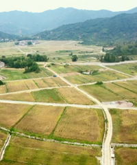 ����̨��ح���ٺ���ʼ��������̨�ݵ�̤��֮�ð�