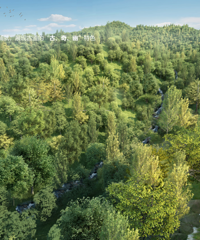 �������������ҽ���һ����δ��ɭ�ֹ�԰��