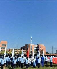 ���˶�����