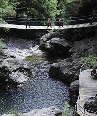 �Ǹ���Զ����⣬һ��̽�����ջ��ҵ�ʫ��Զ��~