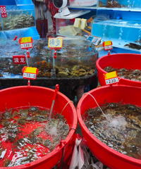 �۸����ˮ������50%��̨����ÿ�궼Ҫ�Ե���һ�ڣ����ƻ�Ҫ��