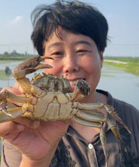 �۸����ˮ������50%��̨����ÿ�궼Ҫ�Ե���һ�ڣ����ƻ�Ҫ��