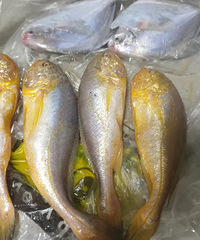 ÷ͯҪ200��Ԫһ�4��÷ͯ����80Ԫ