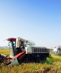 ����̨����Ƭ̲Ϳ�أ�����ˮ����������