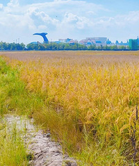 ����̨����Ƭ̲Ϳ�أ�����ˮ����������