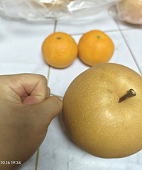 ��ô��Բ����