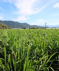 �пڸ��ˣ�������ڡ���������