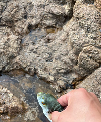 ţβ�������ﻹ���ƶ�����OK