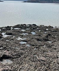 ţβ�������ﻹ���ƶ�����OK