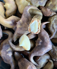 ��ôѡ��ǣ���ε���ǲ�����ô��