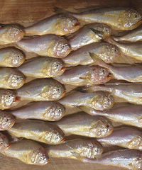 С��÷ͯ��15���ж�ʮ���������ˣ�