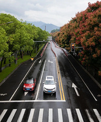 �����͵���̨�ݽ���������