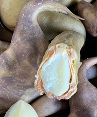 ��ôѡ��ǣ�