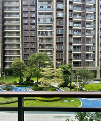 ¥��¥����������ν����¥������ ¥�¸���