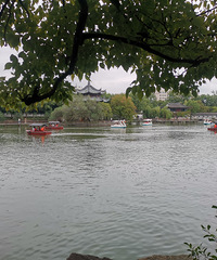 95���ٺ���������173��Ѱ����Ե�ˣ�Я��һ��