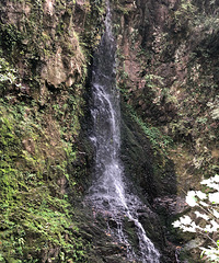 ��������ı������ɺ�ϲ�֣����һ���ɽ