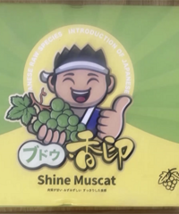 ����������α���װ�ɡ��ձ�����õ�塱�۸񷭼��� ���ߵ����