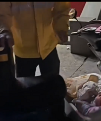 �������ִ��Ż��������������Źٷ���Ӧ