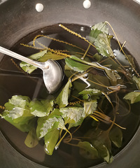 ̨���˳Թ����ֲݰ�������