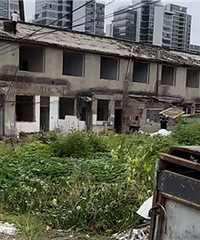 ���Ǹ�ɽķ�ڵ���