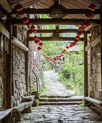 Country Walk�����죬��ʱ�������ҡ����Ρ��ˡ�