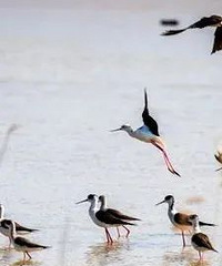 ����ȥ���񻷵ĺ�������˽�صľ�������·��