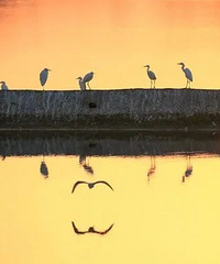 ����ȥ���񻷵ĺ�������˽�صľ�������·��