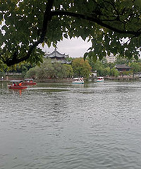 95���ٺ���������173��Ѱ��Ե��Я��һ��