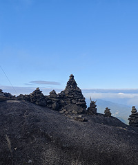 ��2024�μǡ����������˼���ʥ��ͽ������������