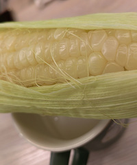 ΢��¯�������ף��ɹ�������