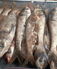 ˮ���ˮ���㣬�û���