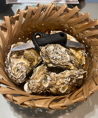 �������ʲô������򺣿��ѹ������Ǹ��൱������ѡ��