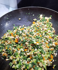 �������ʲô�����������ܶ���������ذ���