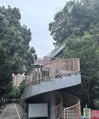 ����ɽ�ϲ�������ɽ�ݣ����������⻹����Ϊ��