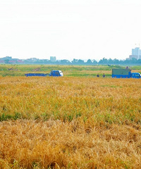 ̨�ݶ����μ�أ������������2257.862Ķ