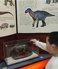 ���ſƼ��ݵĿ�����ʯչ����