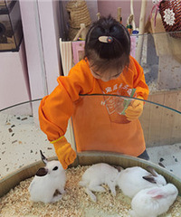 ���ܽӴ�����