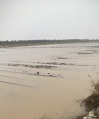 ����һ�Σ�үү�������ø����Ʋ���