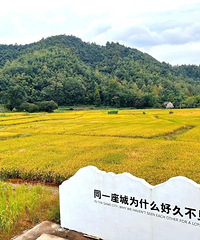 ��one��two���������ﶼ�Ǻá��ᡱ��