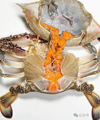 120Ԫ/�����̨�����Ѿ�������