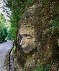 ��ѣ�̨��һ��ͻȻ�����Ϻ������ݵĶ����ˣ����˸�̾��ͦ����