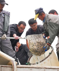 208��β������ӣ�̨����������չ��ֳ�����