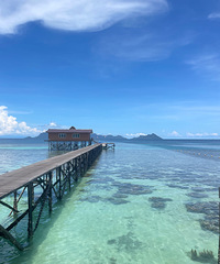 ����������ɱ��ǣ�̫���ˣ�