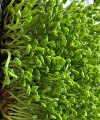 ���糴������������ţ��һͬ���ˬ������