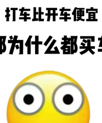 ������򳵵�Ǯ���򳵣��ǲ��Ǹ�������?